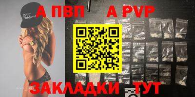 сатива Кингисепп
