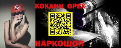 сатива Кингисепп
