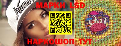 дмт Кимры