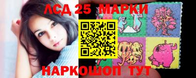 сатива Кингисепп