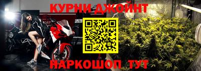 сатива Кингисепп