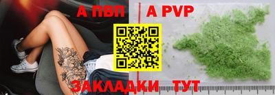 сатива Кингисепп