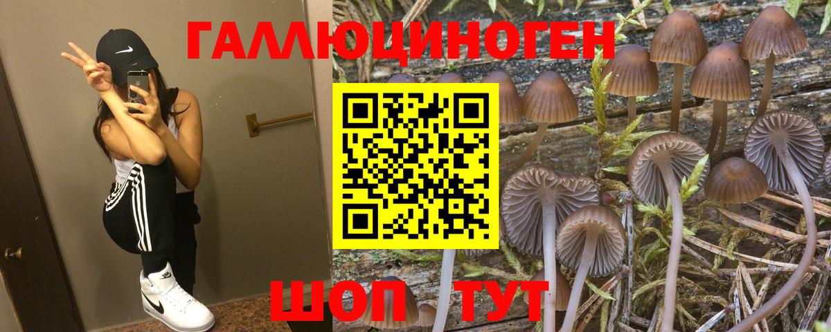 Псилоцибиновые грибы мицелий Кызыл